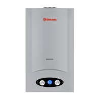 Водонагреватель газовый проточный THERMEX G 20 D (Silver)